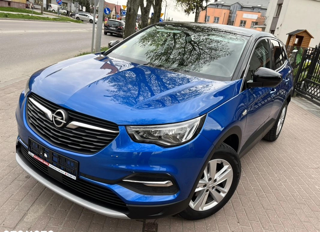 Opel Grandland X cena 61900 przebieg: 173555, rok produkcji 2018 z Działdowo małe 781